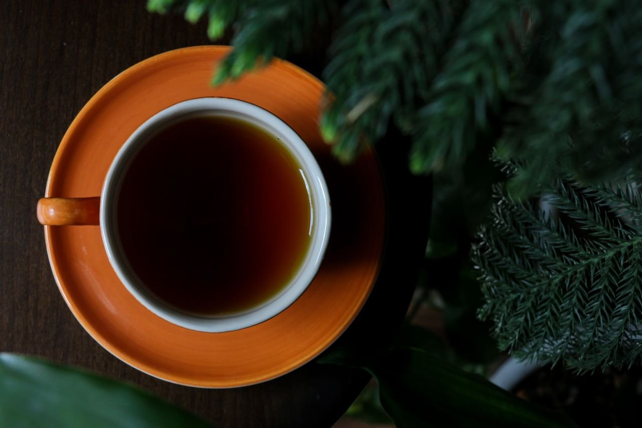 Home A warm cup of black tea in an orange saucer surrounded by green foliage, ideal for winter relaxation.